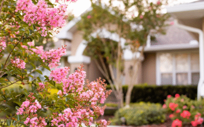 Preventing Summer Pest Infestations in Florida